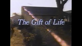 The Gift of Life TV Movie  1982  Susan Dey as Surrogate Mother [upl. by Eniamreg]