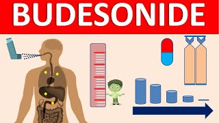 Budesonide  Mechanism side effects precautions amp uses [upl. by Ziul134]