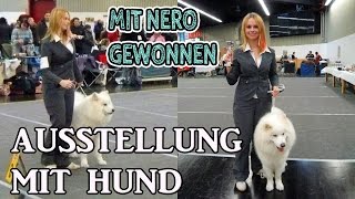 HUNDEAUSSTELLUNG  Hund richtig ausstellen  Vorbereitung auf Aufstellung  Tipps [upl. by Bigod713]