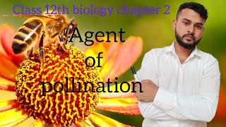 Class 12th  Bsc biology chapter 2 agent of pollination परागण के साधन Lecture 04 [upl. by Eeral]