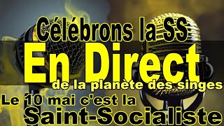 Pour Ainsi Dire  40  En direct de la planète des singes  fêtons la SaintSocialiste [upl. by Tedd507]