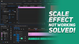 How to Fix Adobe Premiere Pro Scale Keyframes Not Working  Premiere Pro Scale Animation Not Working [upl. by Cherianne]