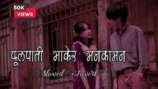 Makhamali Pachauri Le Sanu  slowed and reverb   Nepali vibe cover song [upl. by Ahseinat]