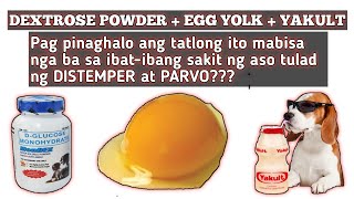 NA SUBUKAN NIYO NA BA ITONG DEXTROSE POWDEREGG YOLKYAKULT PARA SA PARVO O DISTEMPER NG ASO [upl. by Mathew]