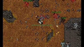 Tibia Hunting guides 25 Knights 40  Haunted treelings and demon skeletons [upl. by Ecertak]