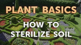 How to Sterilize Soil [upl. by Asillem]