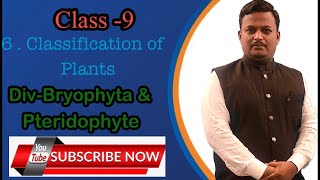 Class9Classification of plants DivBryophyta amp Pteridophyta [upl. by Nauqyaj776]