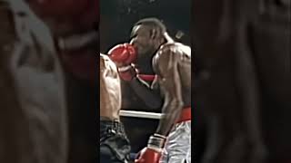 Tyson Ferocious Attack  The Thrilling Show to Entertain Fans miketyson ironmike [upl. by Adnirolc]