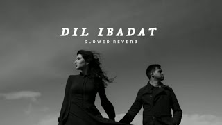 dil ibadat slowed reverb❣️🥺 bollywoodfilmer follow on Instagram [upl. by Harve28]