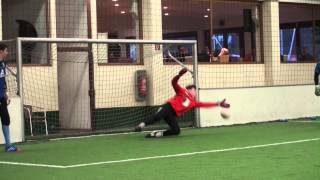 Goalkeeper Training Helge Payer TWS 2013 [upl. by Garvy]