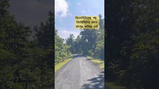 দিনেরবেলাও এই পথে গা শিউরে উঠবে offbeatplaces jungletour junglesafari offbeattour [upl. by Eniaral]