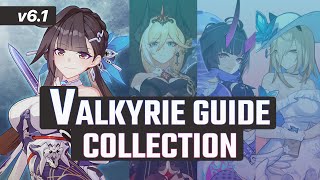 Honkai 61  Valkyrie Guide Collection and Tier List [upl. by Itraa]