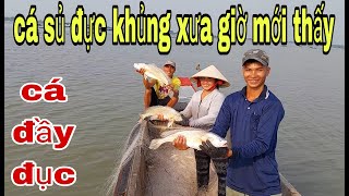 Mừng Rơi Nước Mắt  Ăn Tết Lớn Thăm Lưới Cá Trúng Nhất Hơn 2 Năm Nay  SĂN BẮT ĐỒNG THÁP [upl. by Notned]