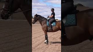 Master horse training Move shoulders effortlesslyquot [upl. by Pik]