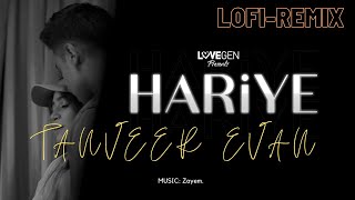 Hariye LOFIREMIX  Tanveer Evan [upl. by Nyladnar]