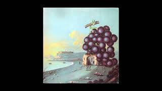 Moby Grape – Wow  Full Album Vinyl [upl. by Suelo]