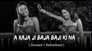 A Raja Ji Baja Baji Ki Na Baji Slowed  Reverb  Bhojpuri  Slowed Reverbed [upl. by Kcirdehs981]