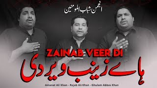 Haye Zainab Veer Di  Sonu Monu Nohay 2020  Nasir Asghar Nohay  ShababulMomineen  BibiZainab Noha [upl. by Parish616]