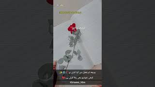 flower diary 🍁🫀🫶🏻🌸viralshort subscribemychannel 🙆🏻❤️love [upl. by Eadas98]