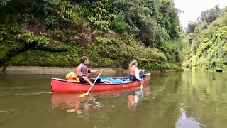 Whanganui River Journey [upl. by Nyl]