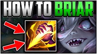 How to Play Briar Jungle for Beginners Best BuildRunes  Briar Guide League of Legends [upl. by Ghiselin]