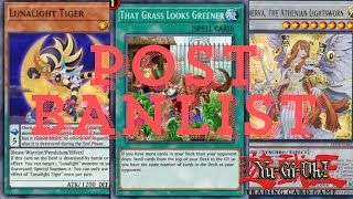 Lightsworn Lunalight Grass  Deck Profile  POST BANLIST  2024 [upl. by Atnima]