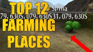 12 Best Active Farming Spots To Make SPINA  Toram Online [upl. by Faye]