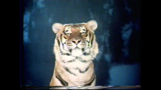 Esso Tiger Advert 1978 [upl. by Hermia]