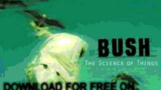 bush  Prizefighter  The Science Of Things [upl. by Gotcher]