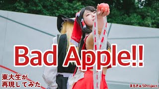 【東大生が】Bad Apple 【再現してみた】 [upl. by Eneres11]