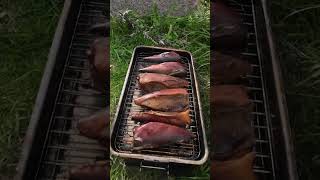 Smoked Mackerel 🐟 August 2023 Prøvestenen [upl. by Nnaycnan590]