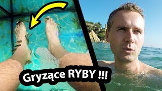 Ryby Gryzą Mnie Po Nogach   Jakie To Uczucie Vlog 204 [upl. by Aneri718]