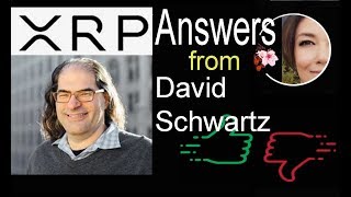 XRP Answers from Ripple CTO David Schwartz Bithumb halts trading Reckless Tweet Trading View [upl. by Kristofor]