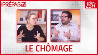 Spécial ESH  les 3 formes de CHÔMAGE [upl. by Ashton267]