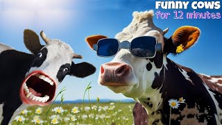 FUNNY COW DANCE FOR 12 MINUTES STRAIGHT  Cow Song amp Cow Videos 2024  Cow dance mix  dancing cow [upl. by Cheria]