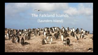 VENT amp Zegrahm Expeditions present Antarctica South Georgia amp the Falkland Islands 2018 [upl. by Millan]