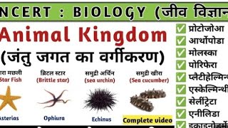 Taxonomy  classification of Animal kingdom phylum [upl. by Aseuqram]