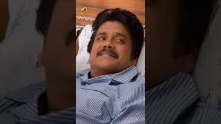 അതാണ് ഈ കാശ്ന്റെ പവർ  Thozha Movie Scene  Nagarjuna  Karthi  Tamannaah  ytshorts [upl. by Shultz]