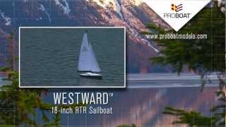 Westward 18 Sailboat [upl. by Ilonka]