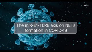 The miR21TLR8 axis on NETs formation in COVID19 [upl. by Silvers676]