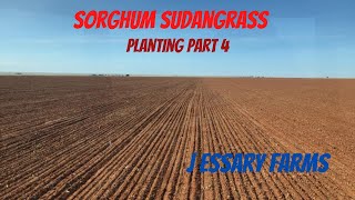 Sorghum Sudangrass Planting Part 4 [upl. by Anatak]