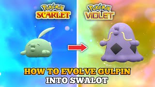 How To Evolve Gulpin Into Swalot In Pokemon Scarlet Violet [upl. by Arramas894]