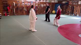 Grandmaster Walter Toch explain sinking body on his workshop Qigong [upl. by Folger]