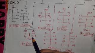 carbohaydrates TRICK to draw different types of aldoses and ketoses sugar  very easy trick [upl. by Charisse]