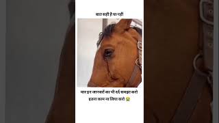 Ye bhi jiv hai itna to mat satao saveanimals dard bedlife verified disclaimer struggle short [upl. by Clova449]