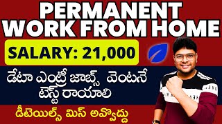 Work From Home jobs Data Entry Jobs  Online Data Entry jobs at home jobs in Telugu VtheTechee ​ [upl. by Ainex]