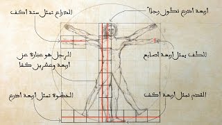 Vitruvian Man  Proportions [upl. by Araet]