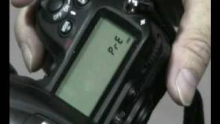 How to use an Expodisk to white balance your DSLR [upl. by Van]