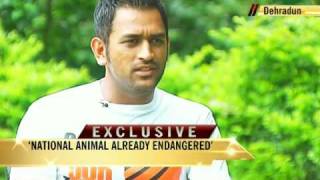 MS Dhoni on matchfixing tigers and marriage [upl. by Hamnet]