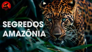 SEGREDOS DA AMAZÔNIA  Uma Aventura pela Selva Imponente  Documentários animais [upl. by Venetis]